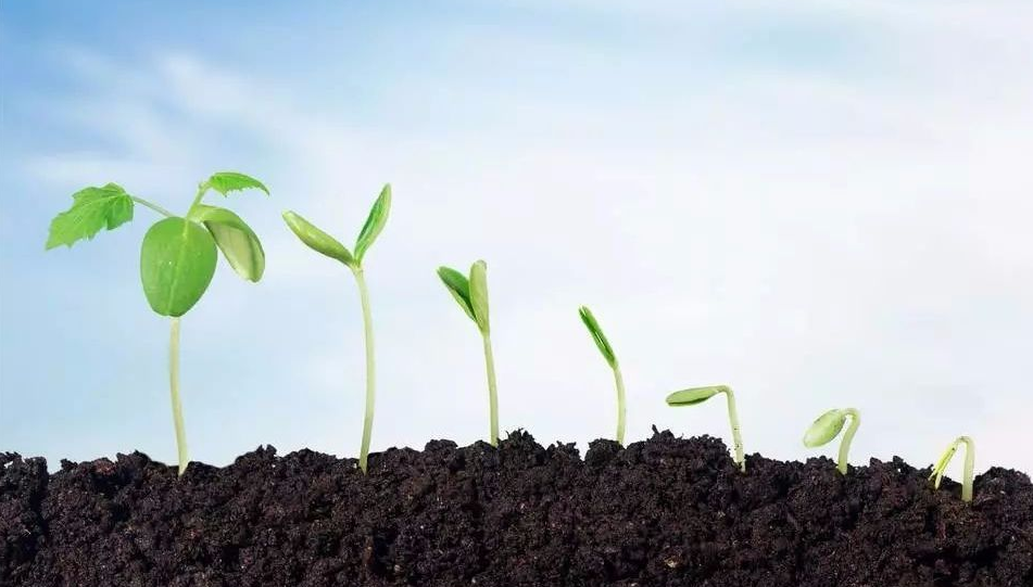 河南高考不公平视频（河南女孩考上北大）