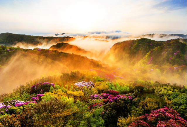 今年暑期，这3部电视剧超火，主角全部来自重庆这所高校！