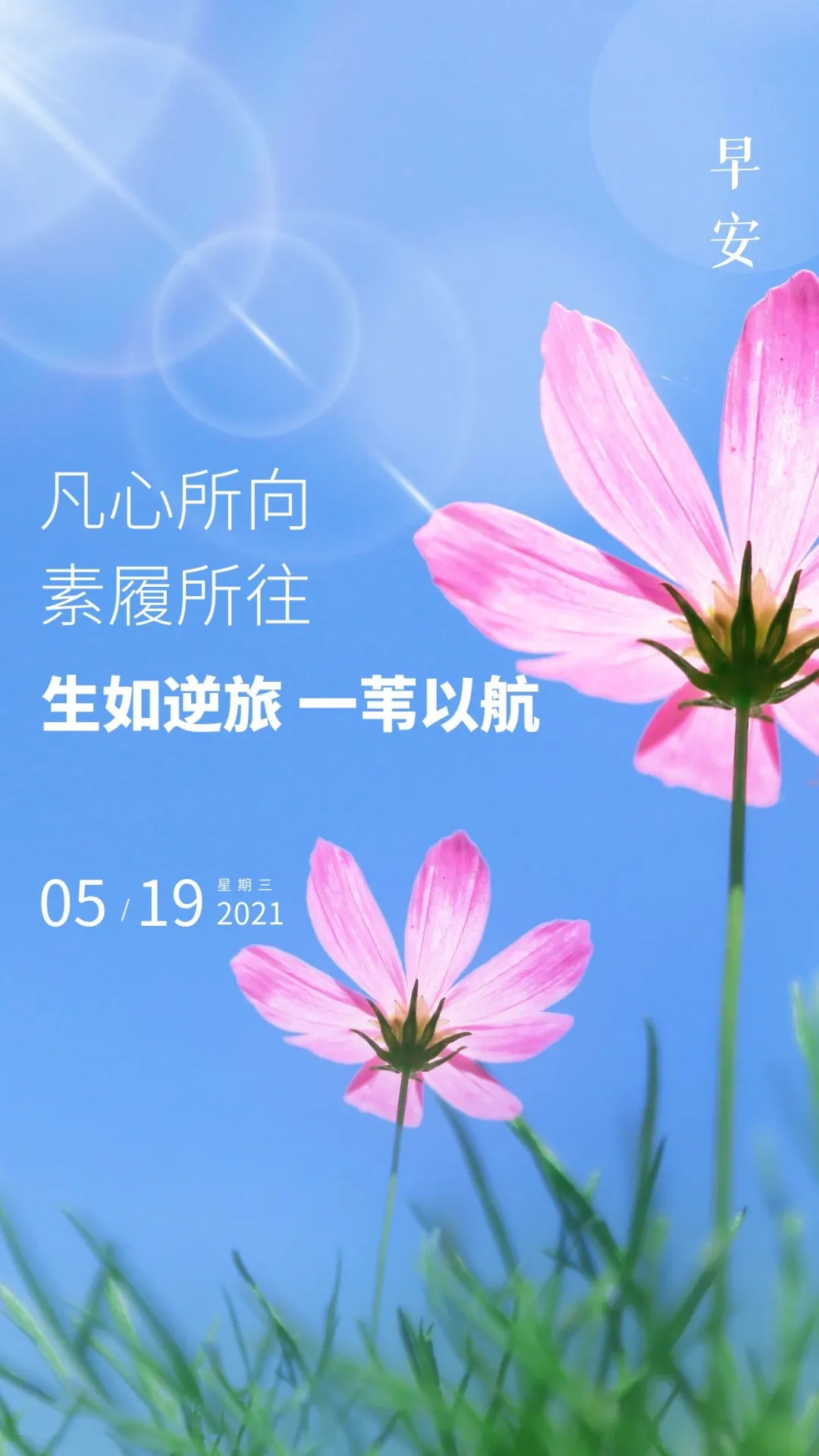 「2021.05.19」早安心语,正能量又是充满希望的一天继续笑着向前