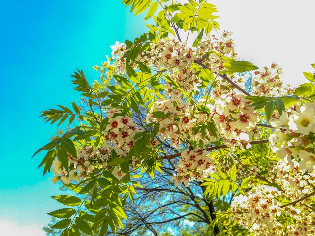 内蒙古的“土豪”大学，是一所省部共建高校，校园风景四季美如画