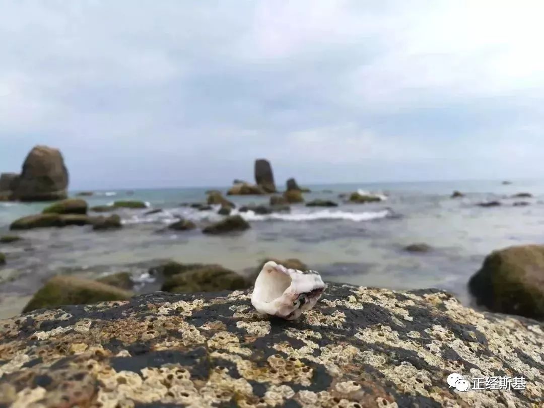 单人单骑，环海南岛，他有很多话想说