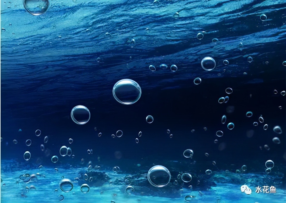 不同的水中缺氧与养鱼的潜在风险：不缺氧不一定表示就是好的