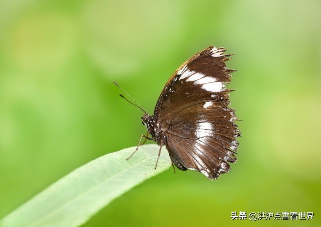 直销、传销、三级分销的区别