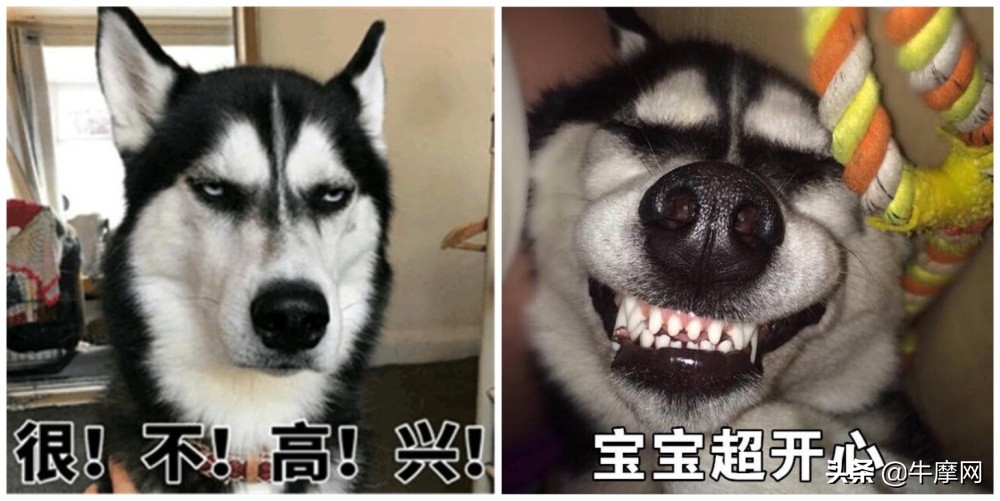 你会计算摩托车的价格吗？