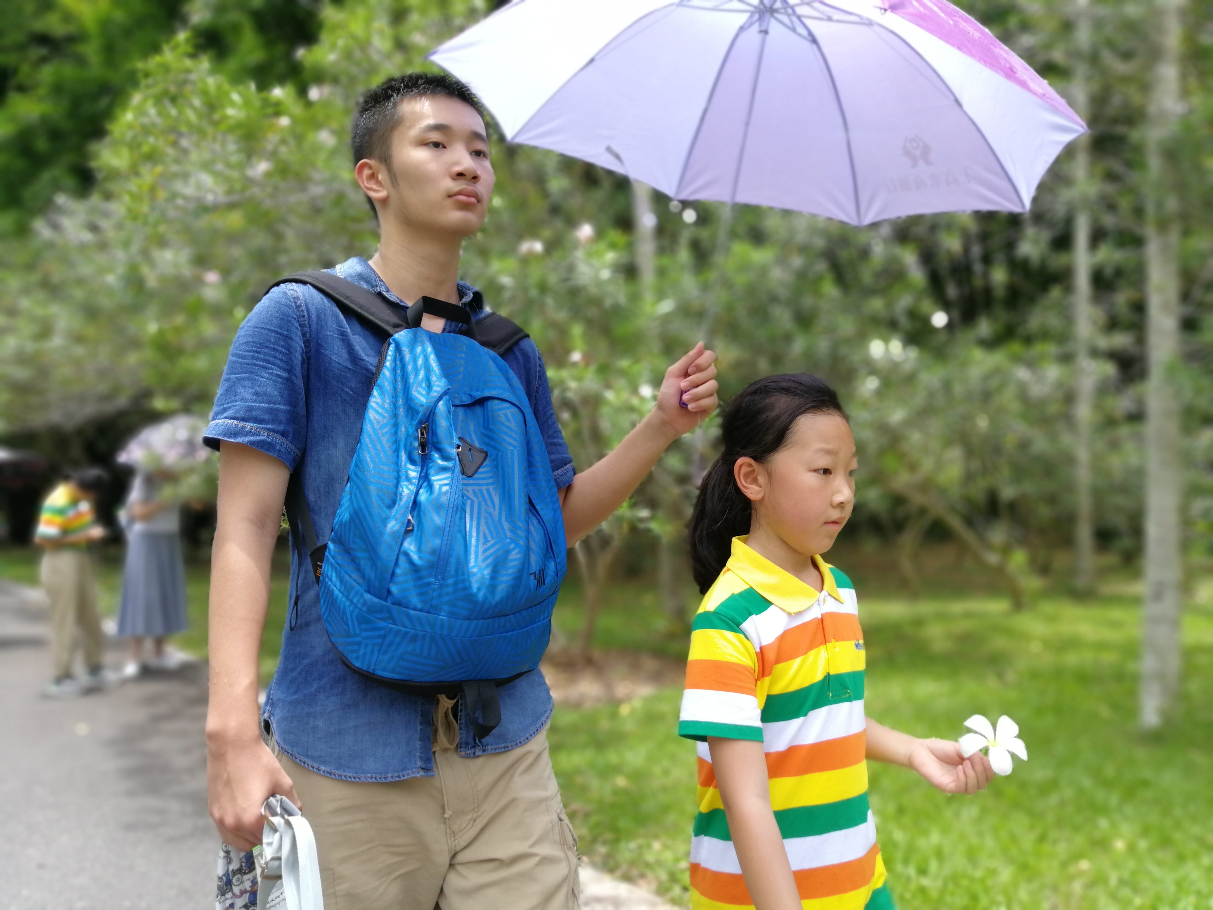 到西双版纳游玩这6个地方不容错过，西双版纳旅游攻略
