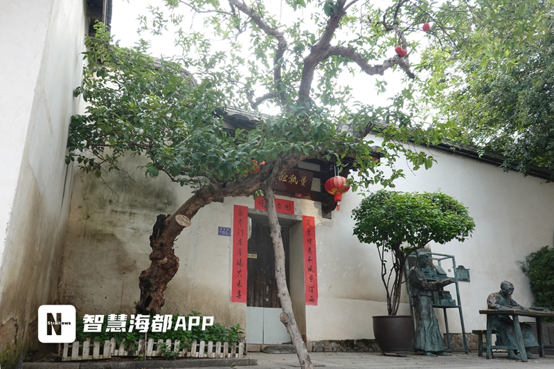 什么水果会发光(谈天说地 | 番石榴果实飘香，提神又醒脑)