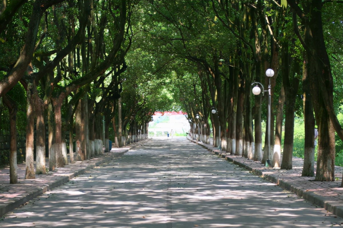 西安迎来“新突破”，汽车学院升级成大学，网友：有蓝翔名气大么