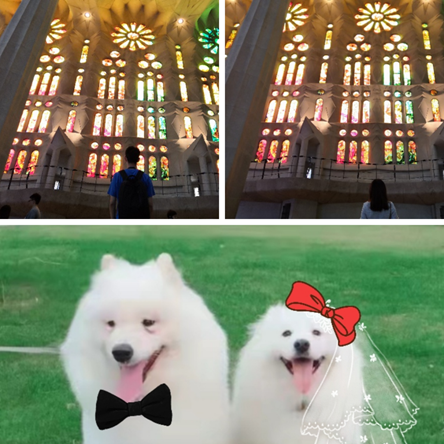 高甜&ldquo;嫁期&rdquo;｜60对新人背后的同一个&ldquo;亲友团&rdquo;