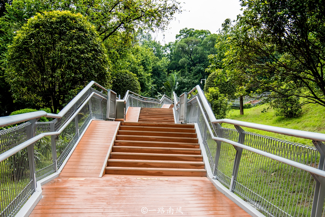 广州旅游必去十大景点(广州哪里好玩的景点免费)