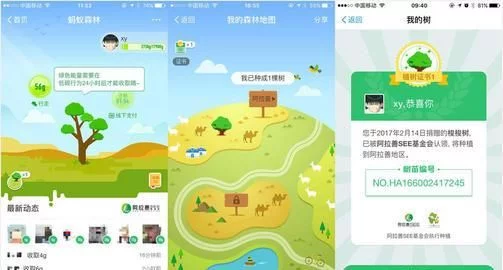 今天你收能量了吗？