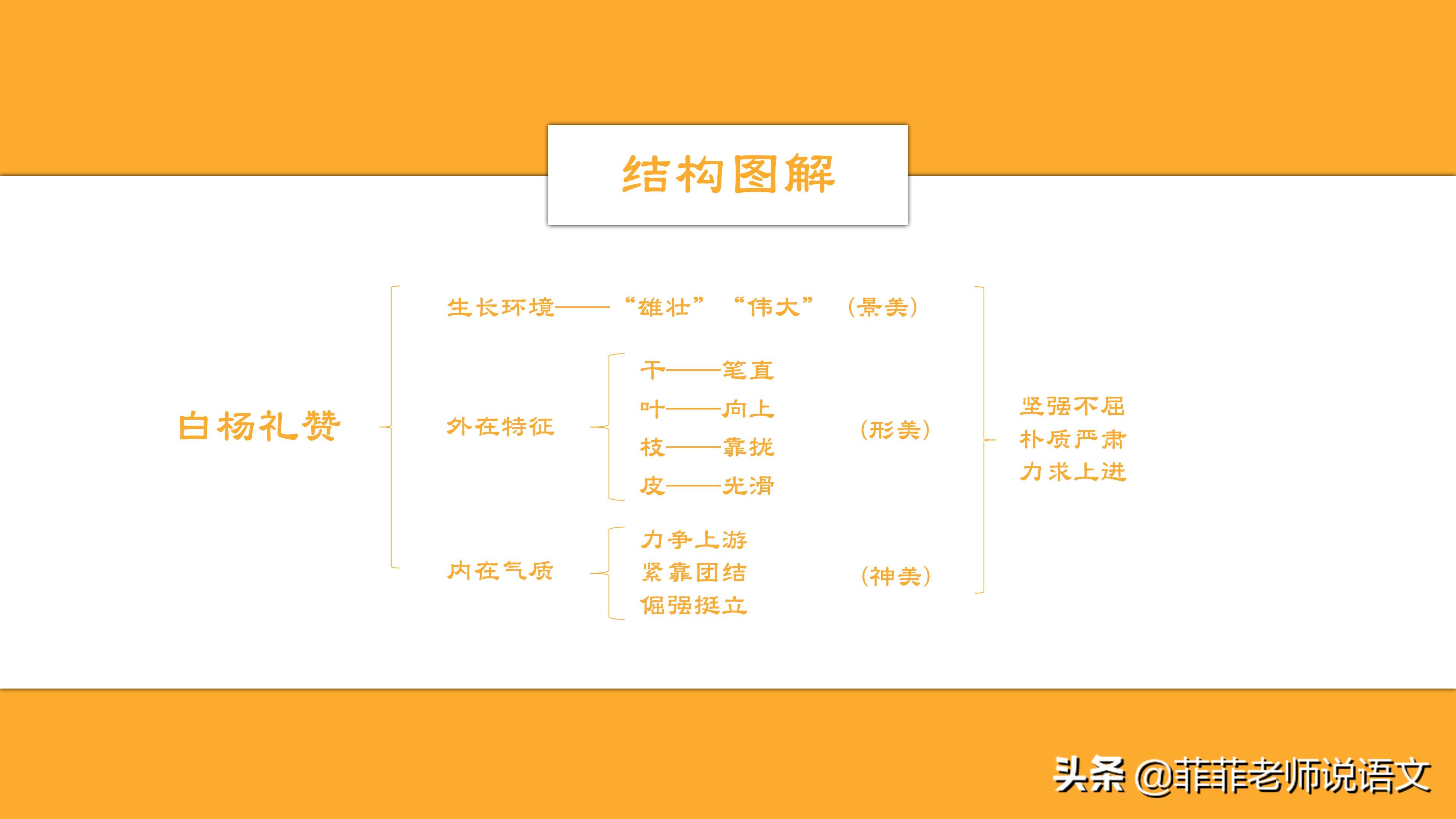 八年级语文上册第15课《白杨礼赞》详细笔记。预习复习可用