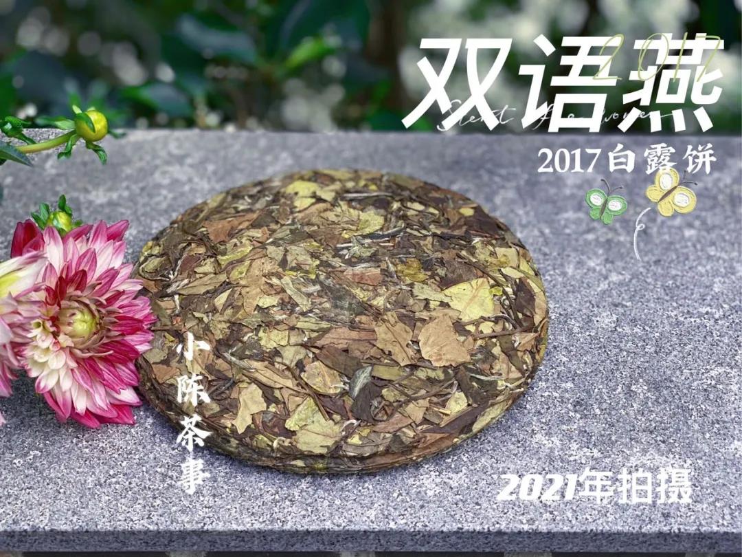 为什么有的白茶只要60元，而有的却要6000，这中间有什么猫腻？