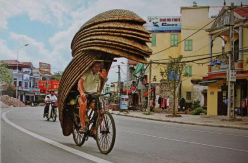越南“挑衅恩师”终自食恶果，亲华元首长征继任，再次效仿中国