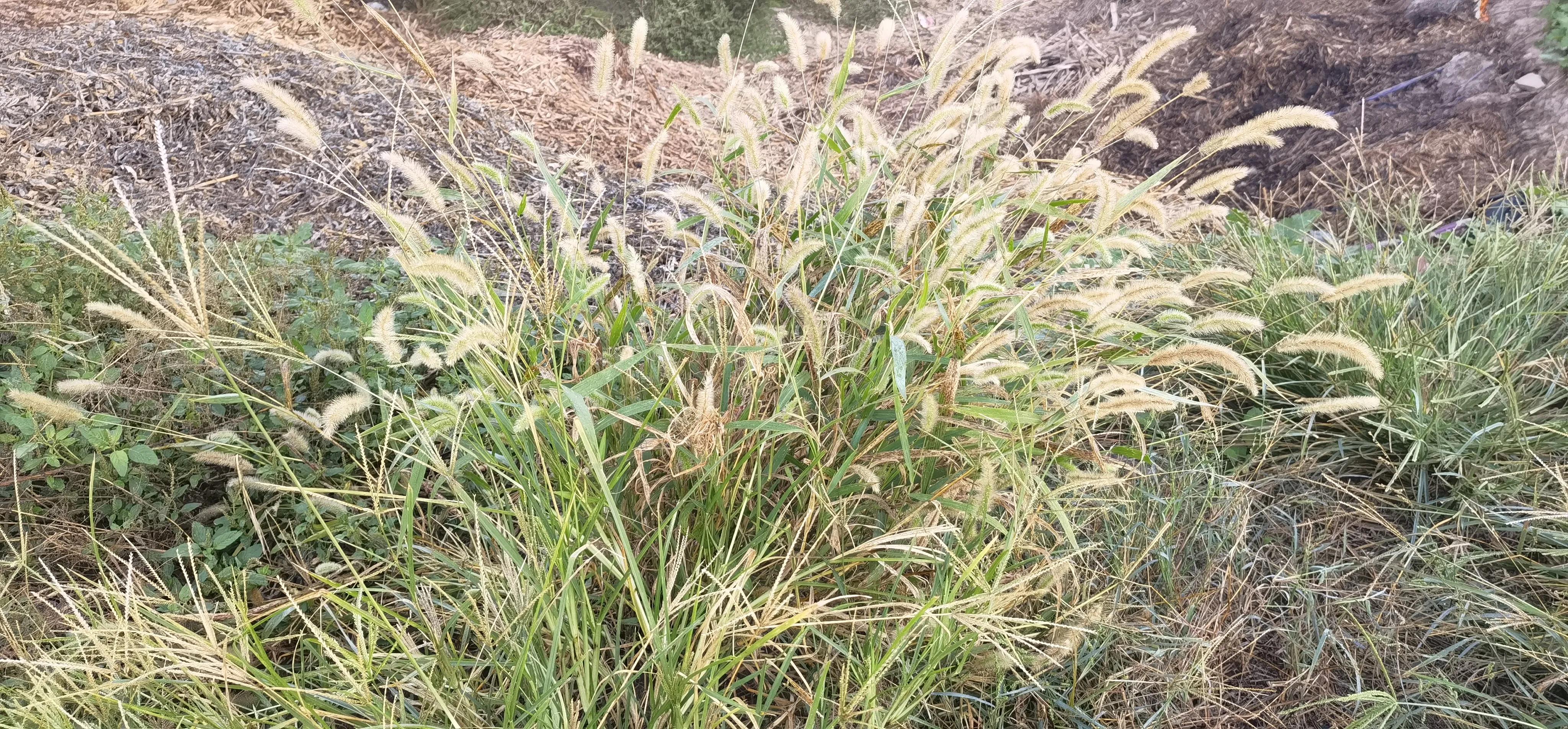 买房日记第32天：眼里有光，心中有爱，国庆节这样过倍感温暖