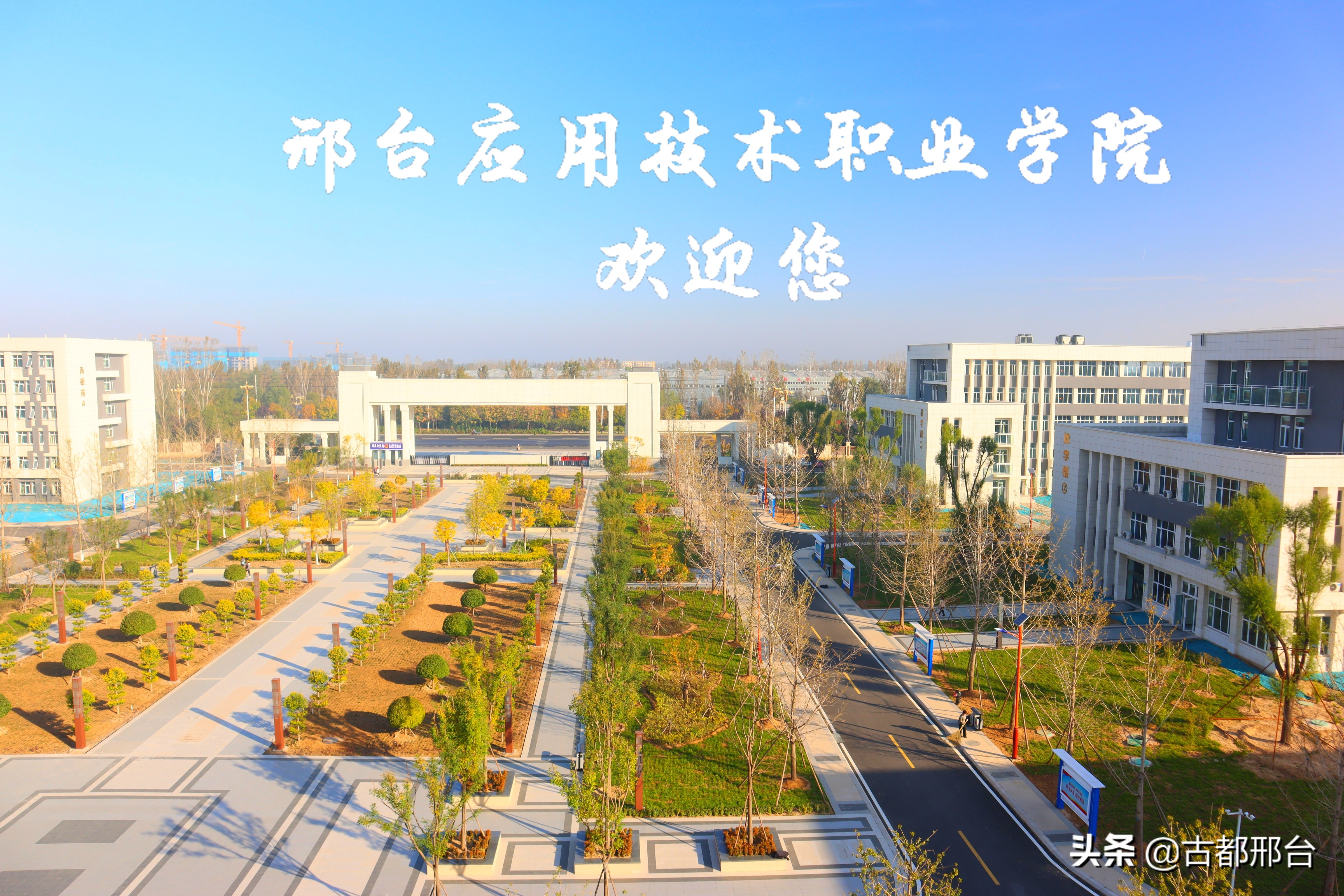 邢台宁晋多次引进大学无果，自力更生终圆高校梦