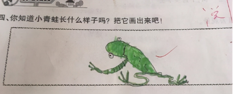 小学生在作业上画“青蛙”，老师看后一脸问号，网友：灵魂画手