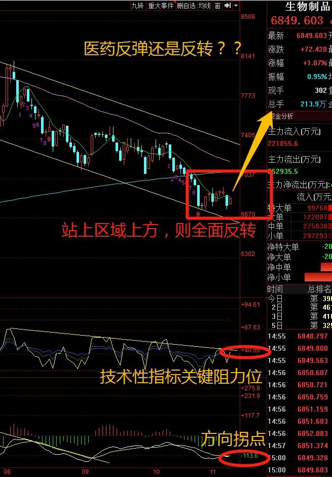 管他CXO还是CRO，管他葛兰还是赵蓓，医药医疗行情这样走