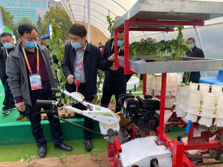 西部网聚焦农高会 | 第28届中国杨凌农高会今日开幕 大荔展区引人注目
