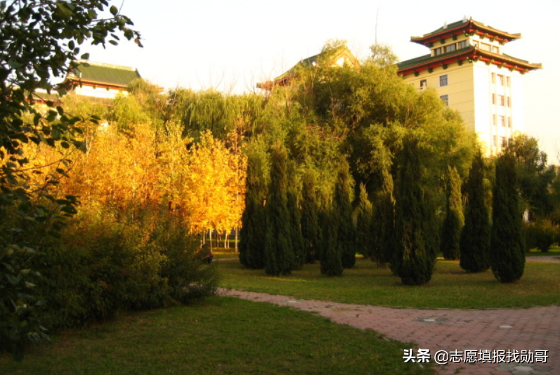 我国“被低估”的1所医科大学，实力不逊色211，就业很不错