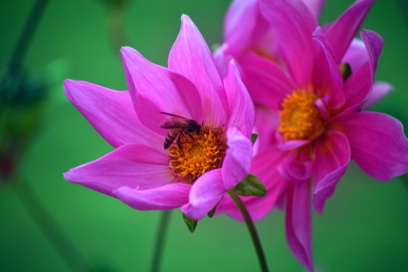 9月11号星座性格分析图9月11日星座运势 汽车时代网