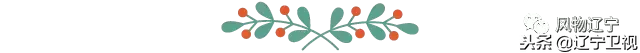 绝世芳华的紫玉金砂 完美收官物华天宝最辽宁 更多宝藏等您发现