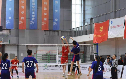 北京体育大学分数线体育专业（北京本地人）