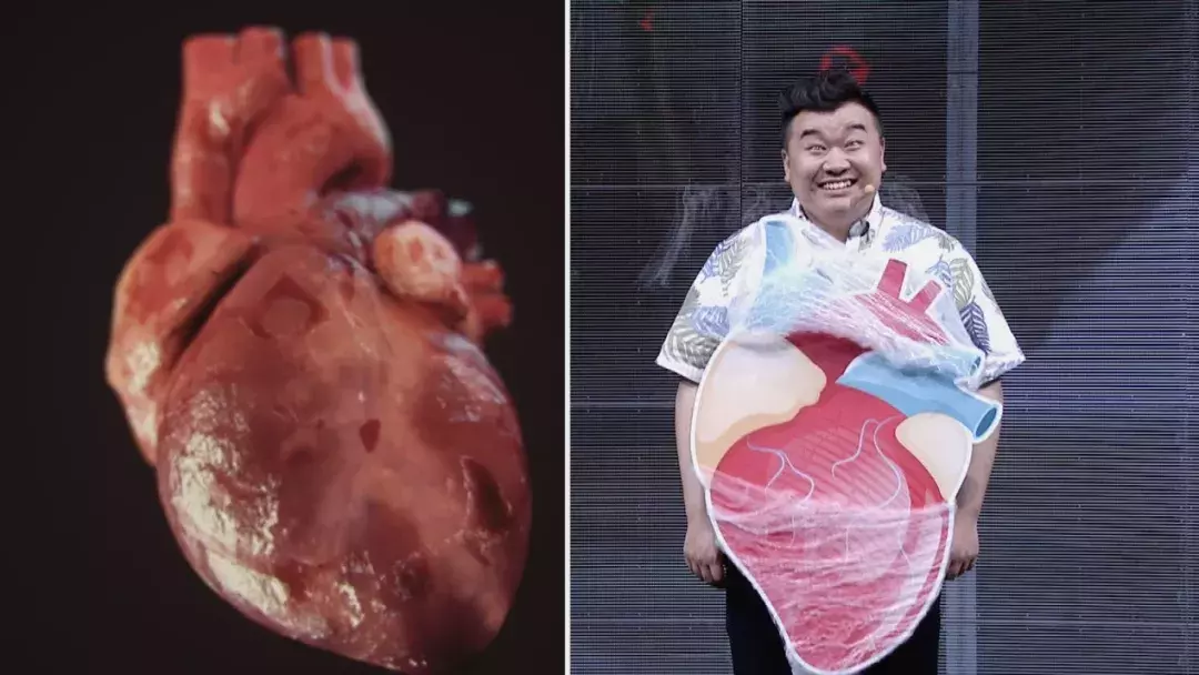 立夏后谨防痰湿缠身，医生几个小方解决调理和祛除痰湿，平稳度夏