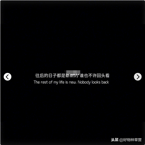 「适合一月置顶的说说」新年新气象 激励自己拥抱更好的新生活！