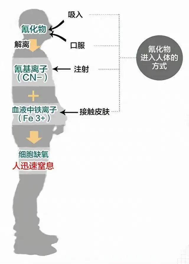 һ_(ki)܇ö䚢񇘵ò҄(dng)жΣU(xin)