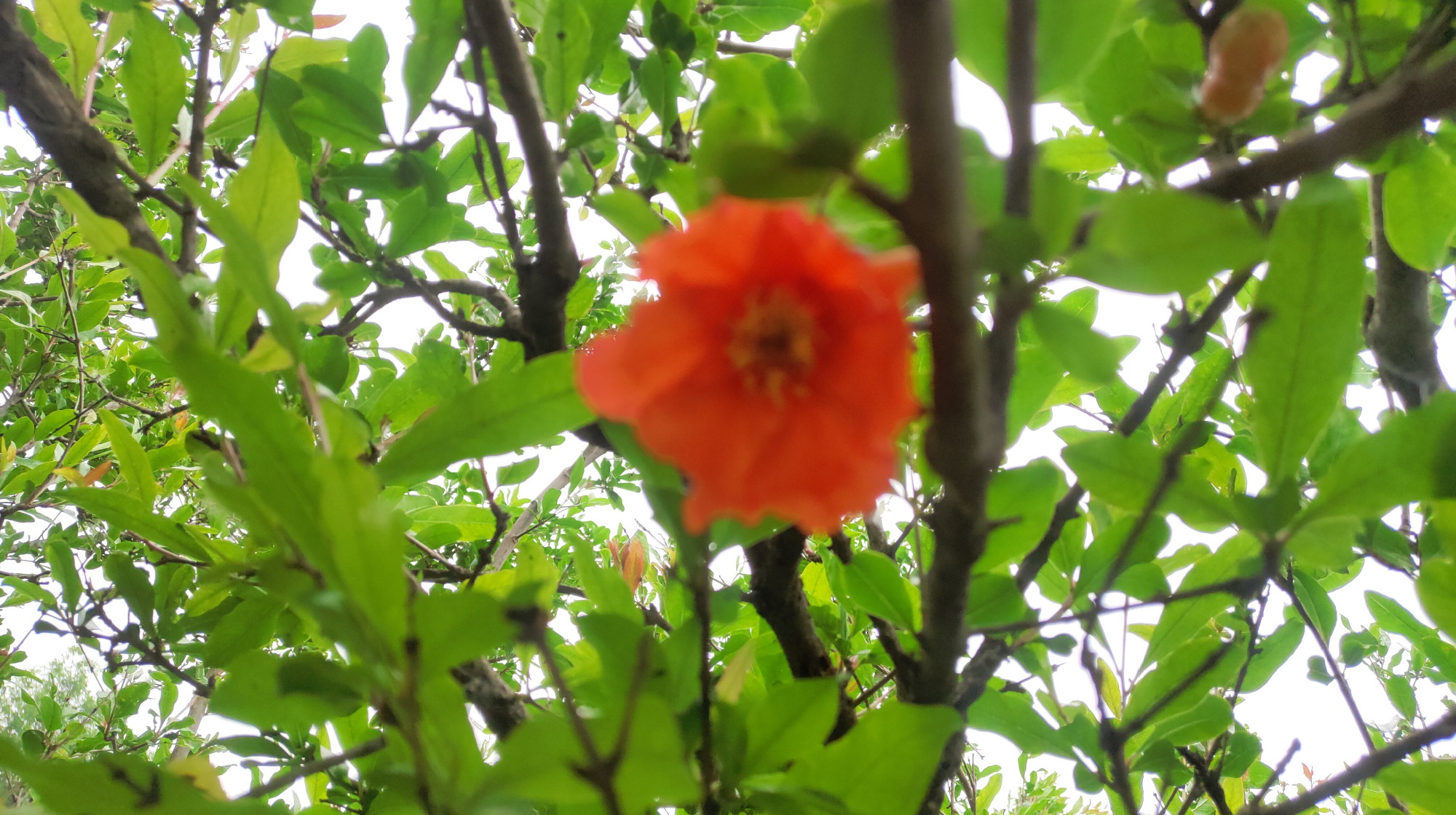 余生，淡淡爱，淡淡相守