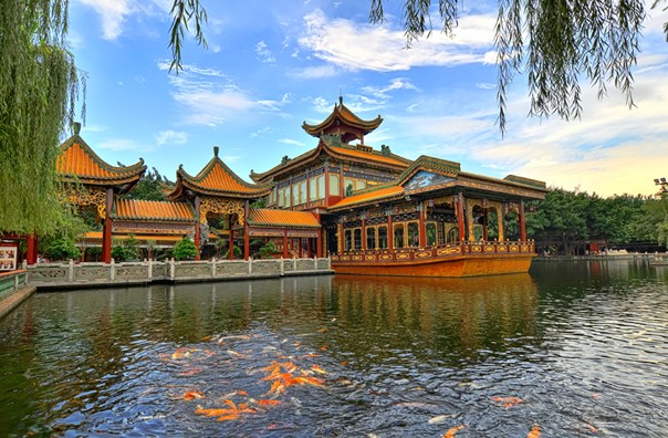 看完这一篇文章，我只想回母校——广州番禺职业技术学院了！