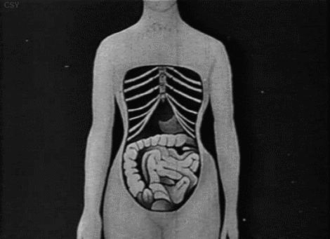 艺术涨姿势：内衣小史 | 张小玉