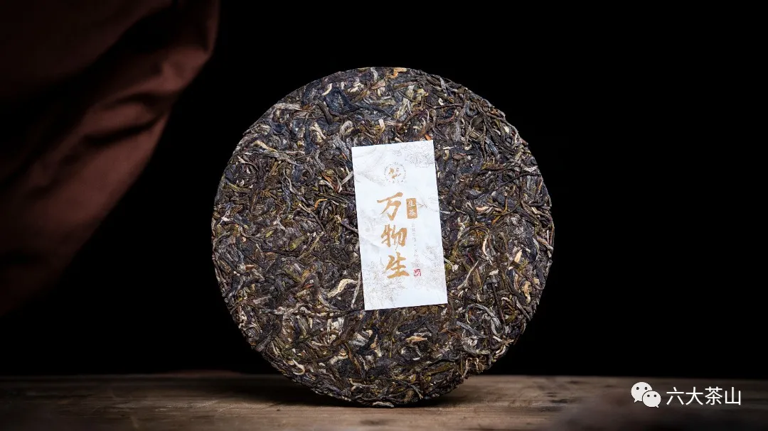 万物共生、无尽藏宝!六大茶山透过它向世人展示云南之美