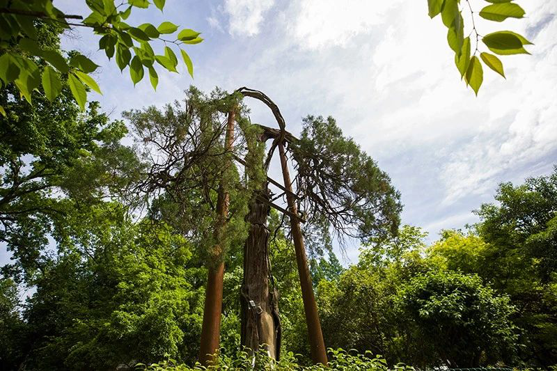 火爆刷屏！江苏