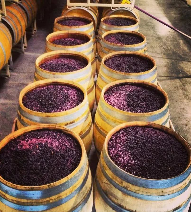在发酵完成之后,葡萄酒就会被转移到橡木桶当中进行熟成