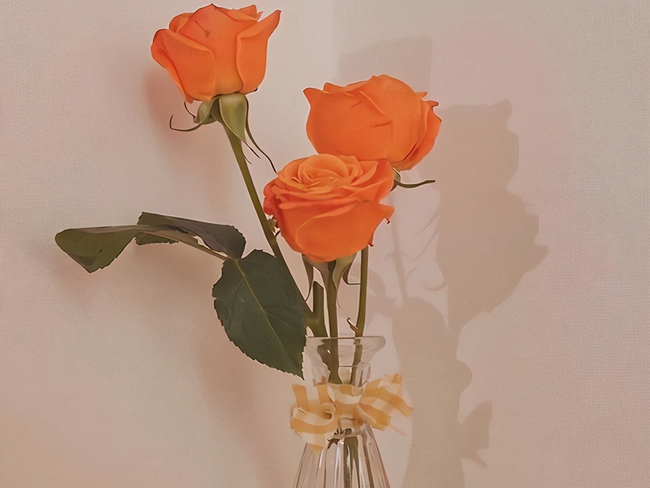 女人这一生，芳华易逝，唯有一身才情，伴随到老