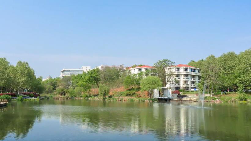 南京“超豪华”大学：别墅宿舍，配备电梯、空调、独卫，坐拥影院、游泳馆、健身房！