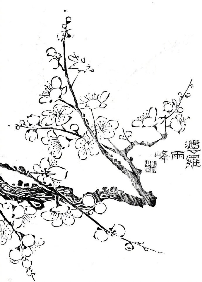 初学者怎么正确画梅花？先从“背”线稿开始，为画梅花打好基础