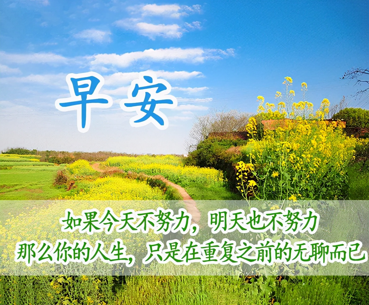适合发朋友圈的最新早安语录图片