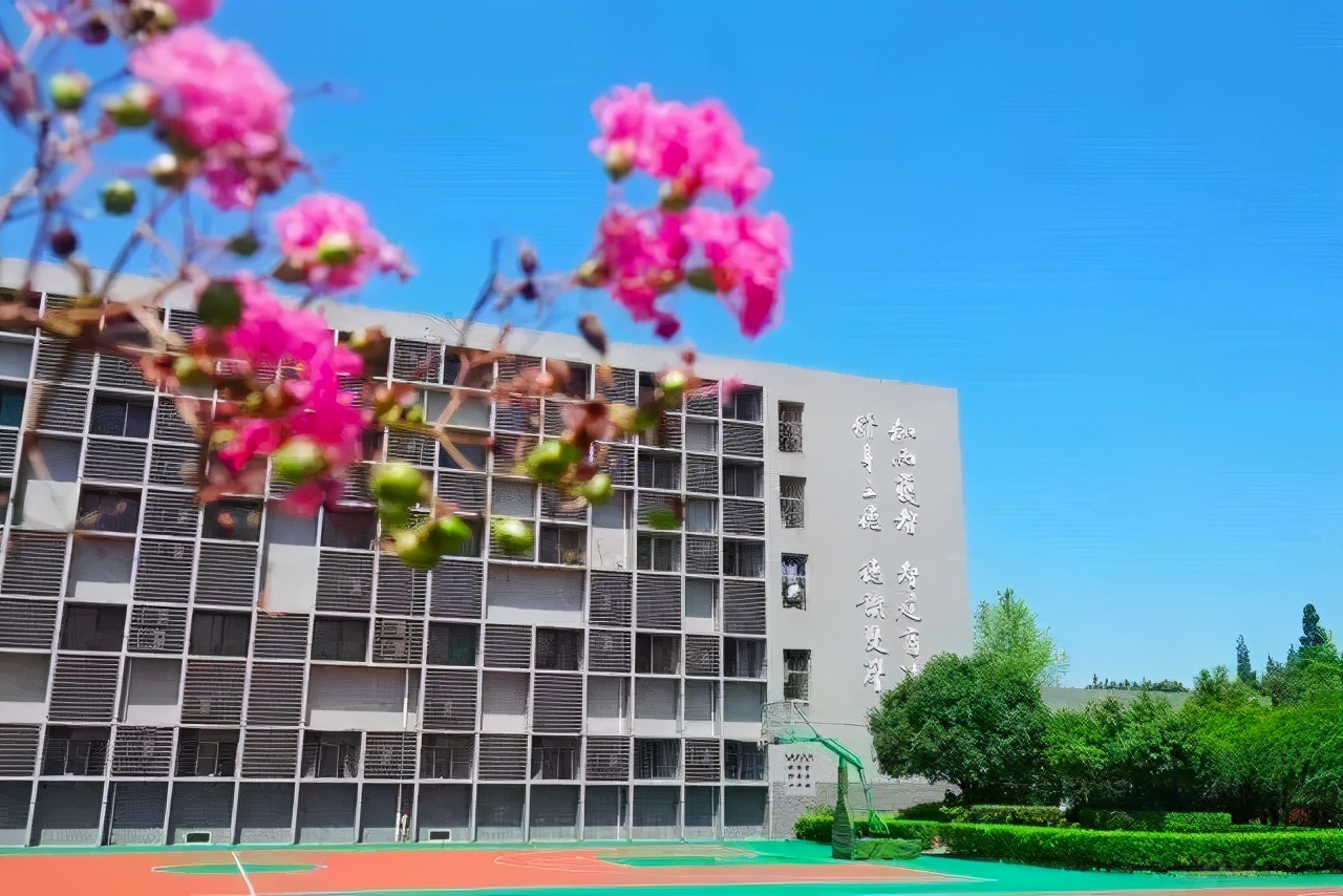 私立首选一贯制直升！成都这些学校可从幼儿园一路读到高中