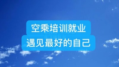 民航职业技能综合实训