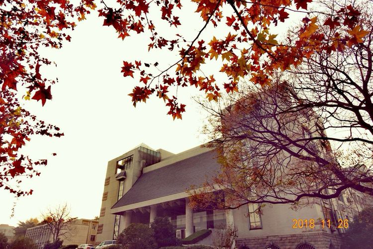 30年重回母校，深情切切，可喜新颜——河大老校区随拍