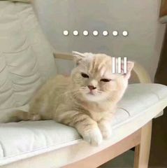 微信文件压缩方法：轻松将文件夹打包成压缩包