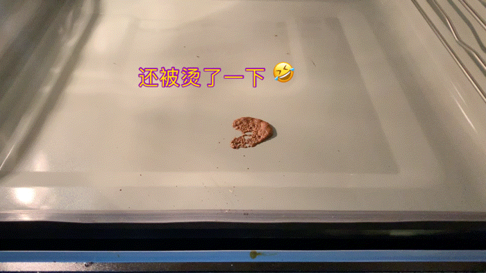 2021年嵌入式蒸烤箱如何选？对比三款市面主流蒸烤一体机给你答案