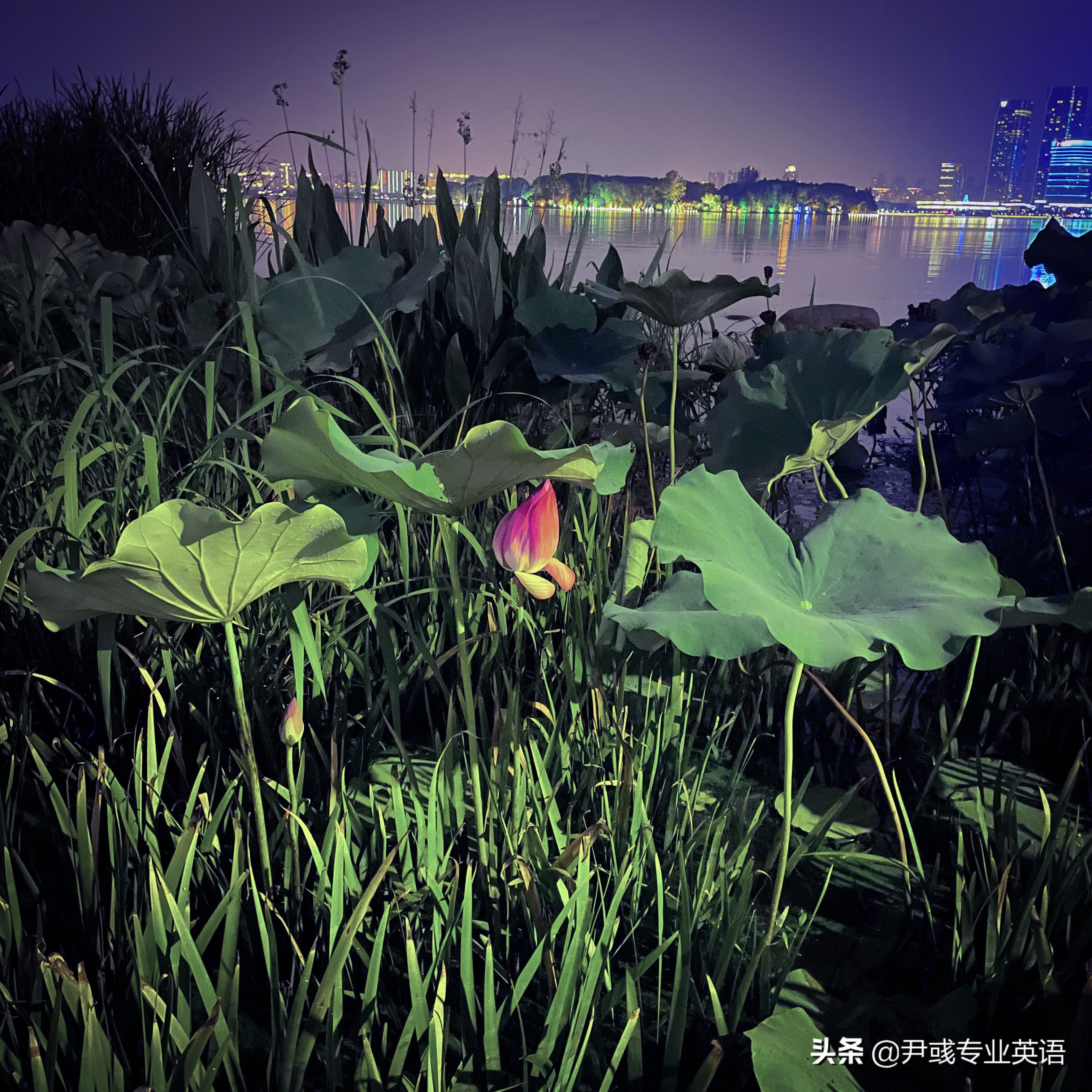 老板的英文表达及职场中上司对公司影响的专业分析