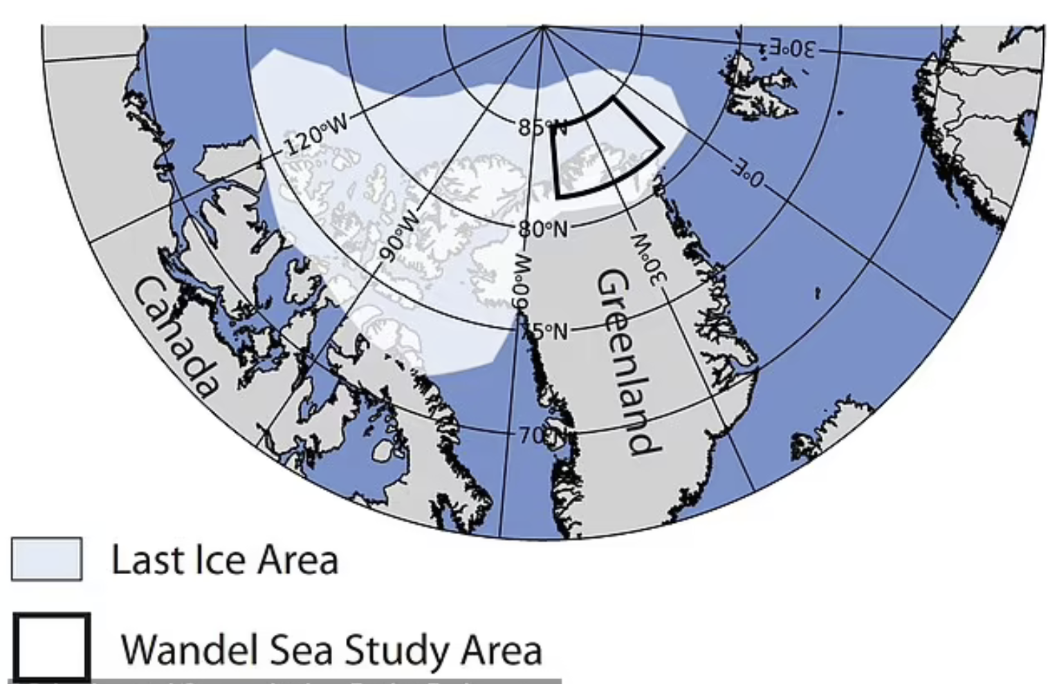 北极圈48度!"最后的冰区"将融化,北极熊将无家可归