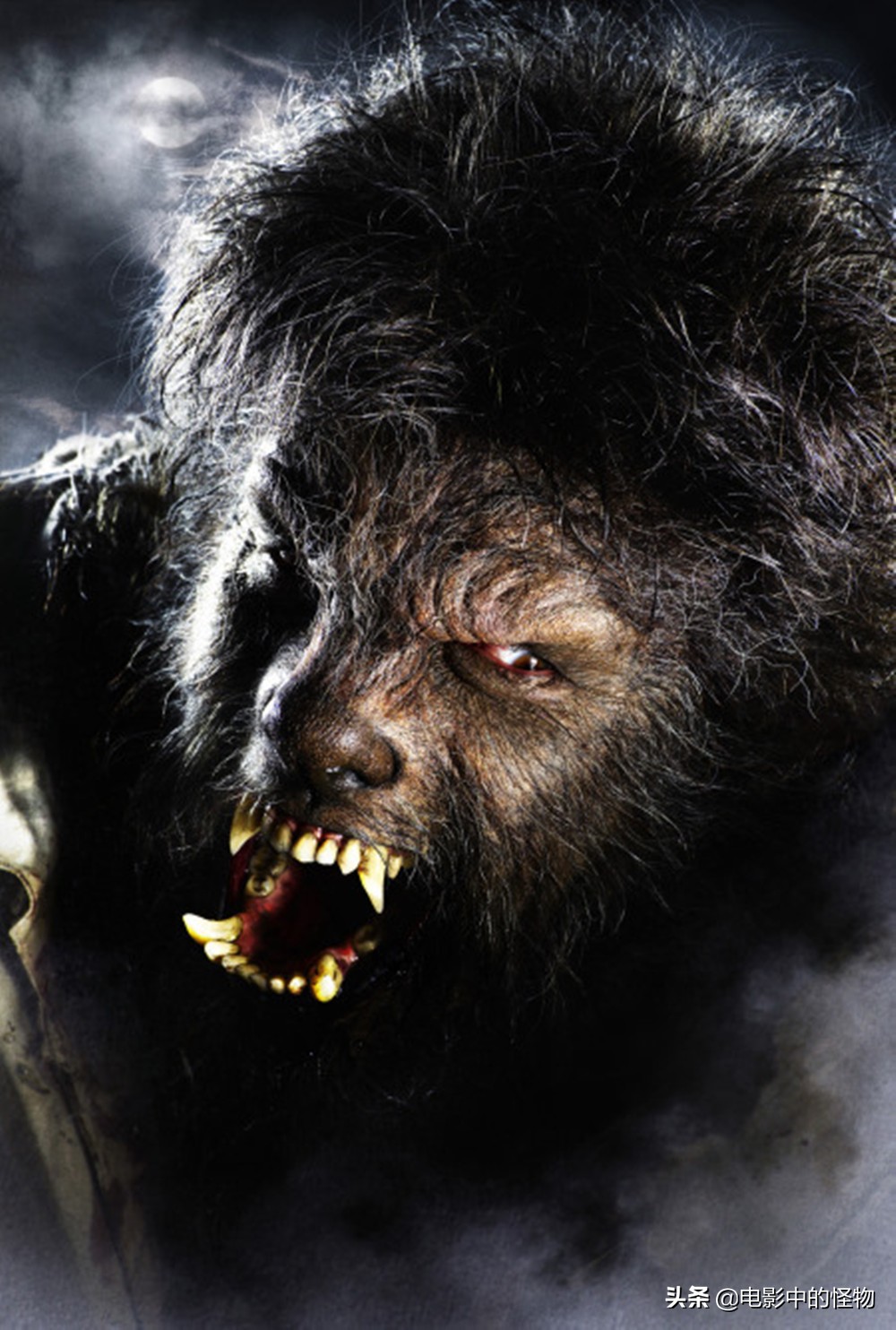新版《狼人》正式确认导演，环球“黑暗宇宙”下一部重量级大片