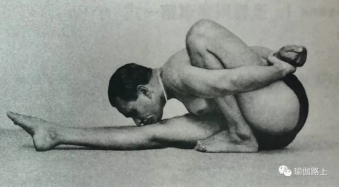 艾扬格密集一 | 32 个经典体式 & 2 大呼吸法经典示范图