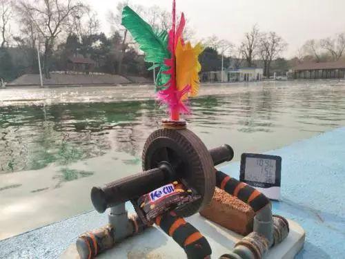 看着都冷！清华学生要上“室外冬泳”课？网友：因为害怕，所以我选报北大