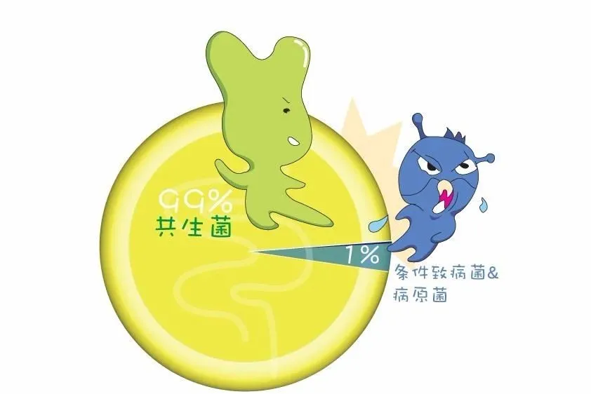 你的益生菌吃对了吗?